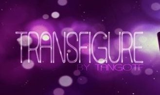 Transfigure - 0.60 18+ Adult game cover