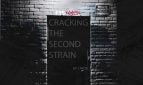 Cracking The Second Strain Adult Game Cover