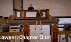 The Lawyer Adult Game Cover