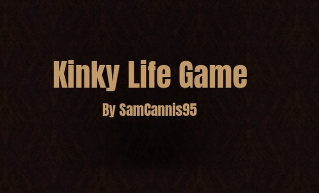 Kinky Life Game cover