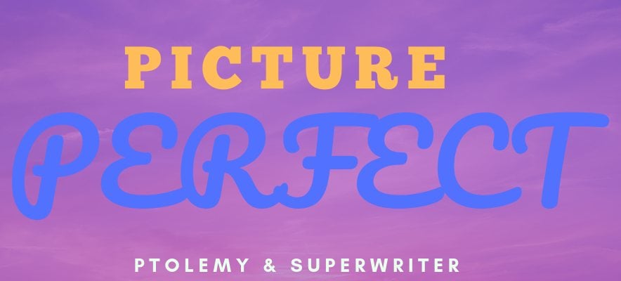 Picture Perfect cover