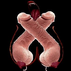 Sluts of Battle cover