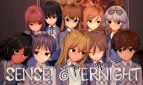 Sensei Overnight Adult Game Cover