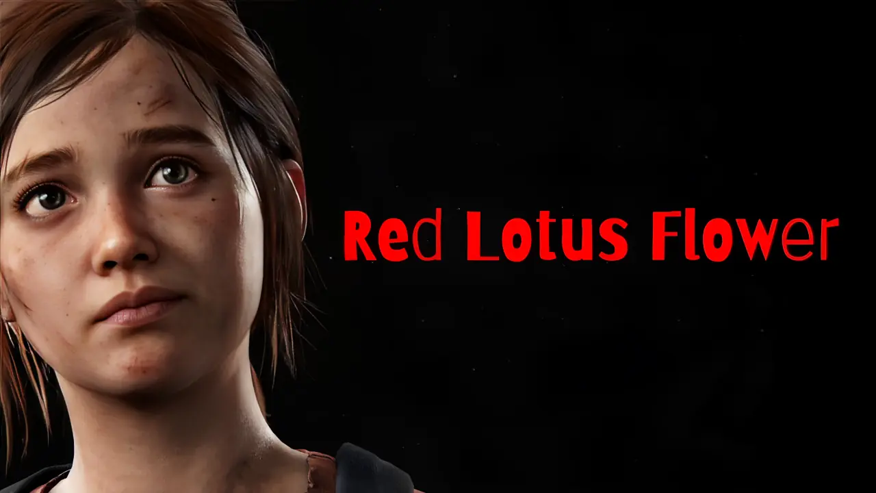 Red Lotus Flower cover