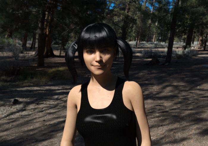 The Misery of the Newcomer cover