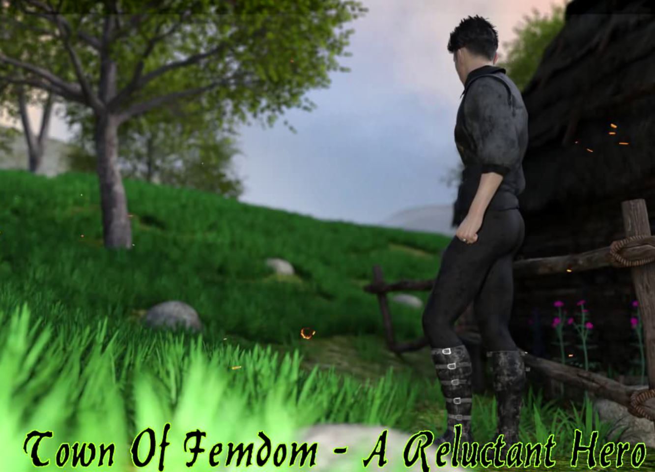 Town of Femdom A Reluctant Hero cover
