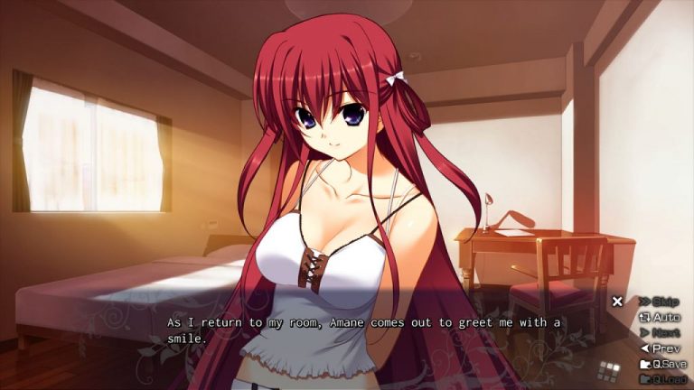 The Labyrinth of Grisaia Adult Game Screenshots (1)
