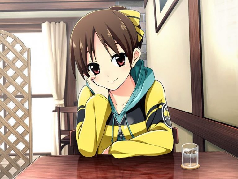 Go! Go! Nippon! 2016 Deluxe Adult Game Screenshot (1)