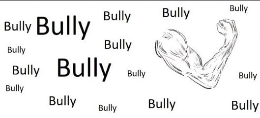 I am a bully cover