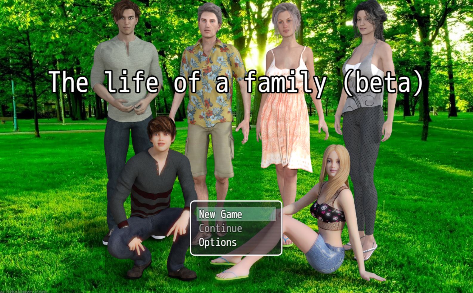 Life Of A Family cover