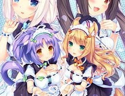 Nekopara vol.3 - Final 18+ Adult game cover