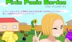 Pixie Panic Garden Adult Game Cover
