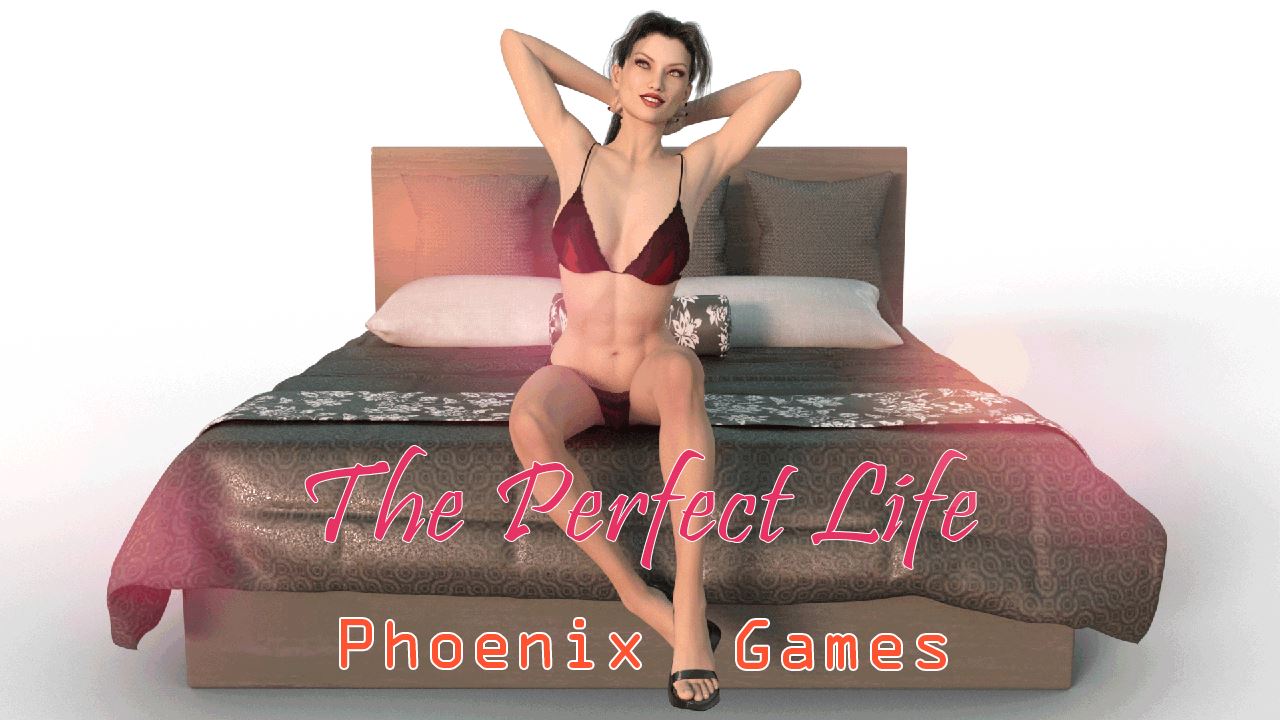 The Perfect Life cover