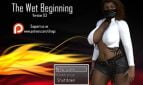 The Wet Beginning Adult Game Cover