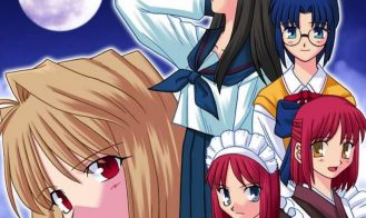 Tsukihime - Final 18+ Adult game cover