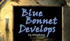 Blue Bonnet Develops Adult Game Cover