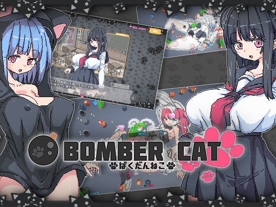 Bomber Cat cover