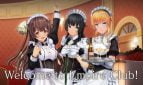 CUSTOM ORDER MAID 3D2 It’s a Night Magic Adult Game Cover