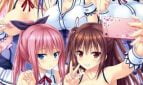 Harem Game Adult Game Cover