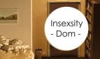 Insexsity 2 Dom Adult Game Cover