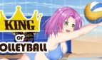 King of Volleyball Adult Game Cover