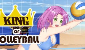 King of Volleyball - FINAL 18+ Adult game cover