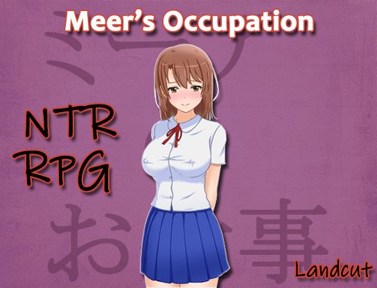 Meer’s Occupation cover