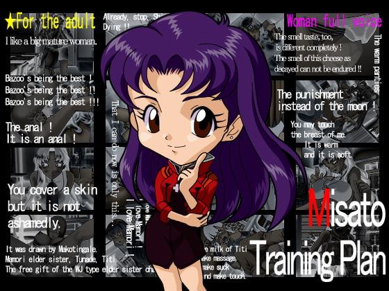 Misato Training Plan cover