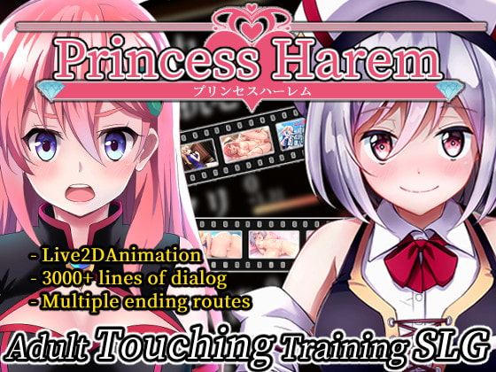 Princess Harem cover