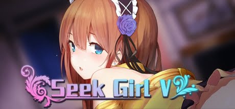 Seek Girl V cover