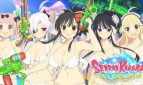 Senran Kagura Peach Beach Splash Adult Game Cover