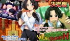 Videl Quest H Adult Game Cover