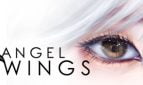 Angel Wings Adult Game Cover