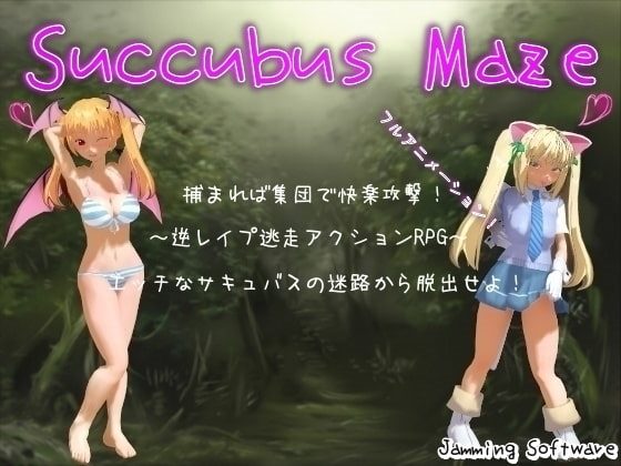 Succubus Maze cover