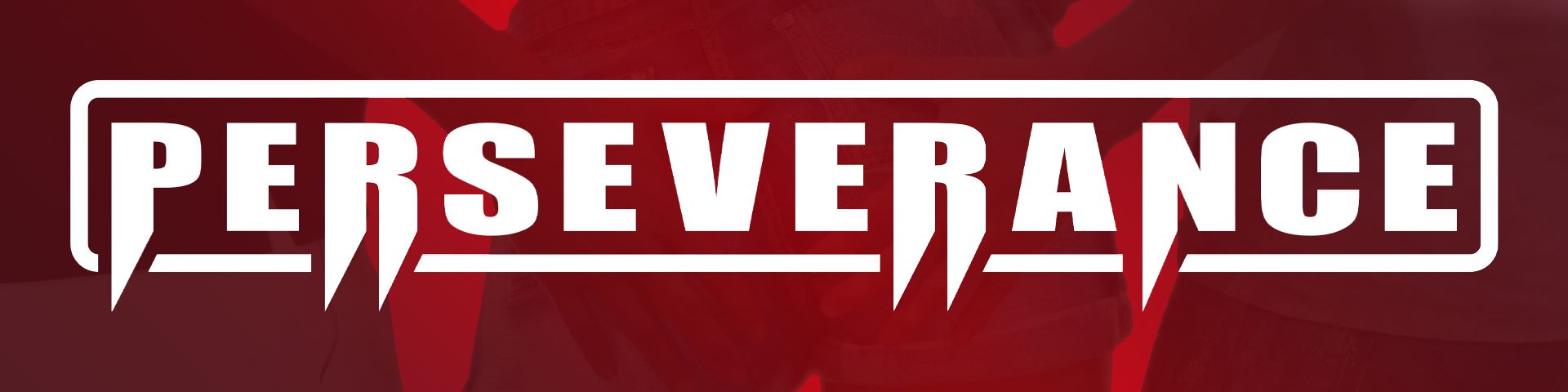 PERSEVERANCE cover
