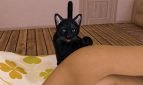Tubby - A Catventure Adult Game Screenshots (1)