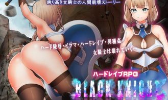 Black Knight: Knight of Insult - Final 18+ Adult game cover