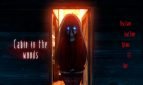 Cabin in the woods Adult Game Cover