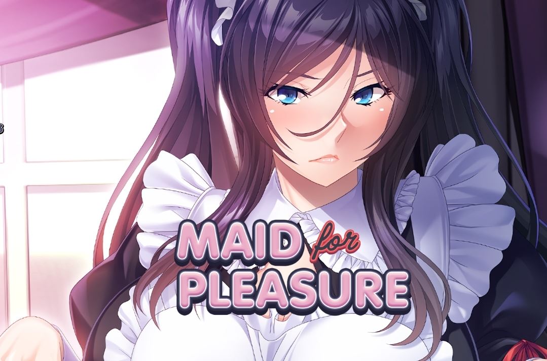 Maid for Pleasure cover