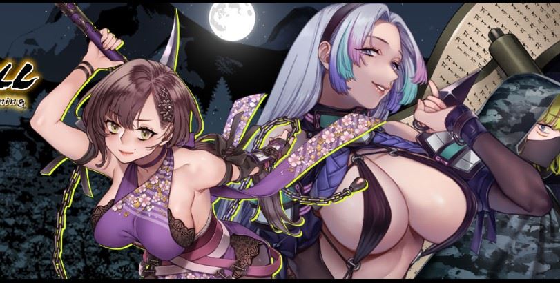 Forbidden Ninja Scroll: Kunoichi Training cover