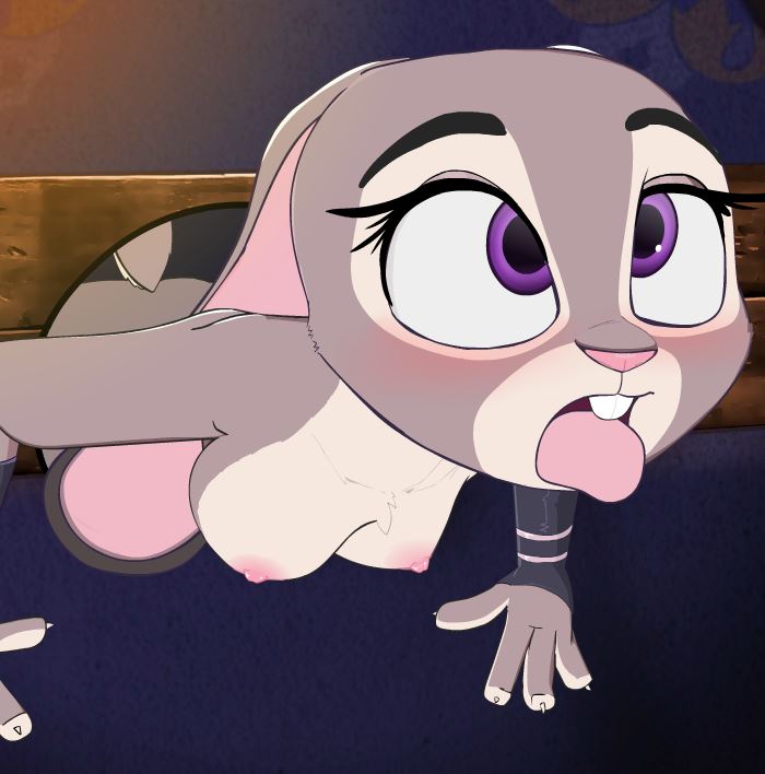 Bunnycop: On-Duty cover