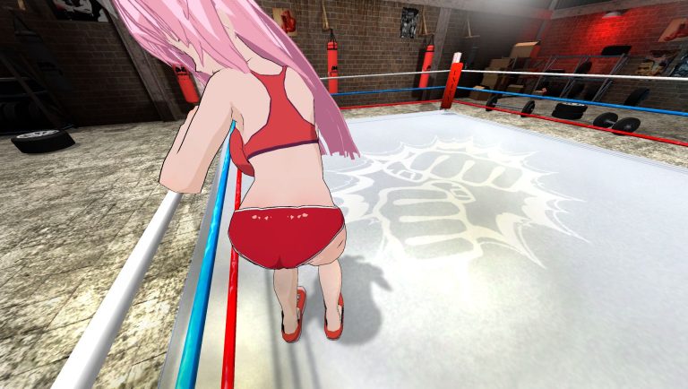 Hentai Fighters VR Adult Game Screenshots (1)