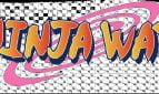 NinjaWay Adult Game Cover