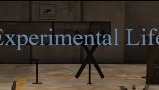 Experimental Life Adult Game Cover