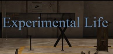 Experimental Life cover