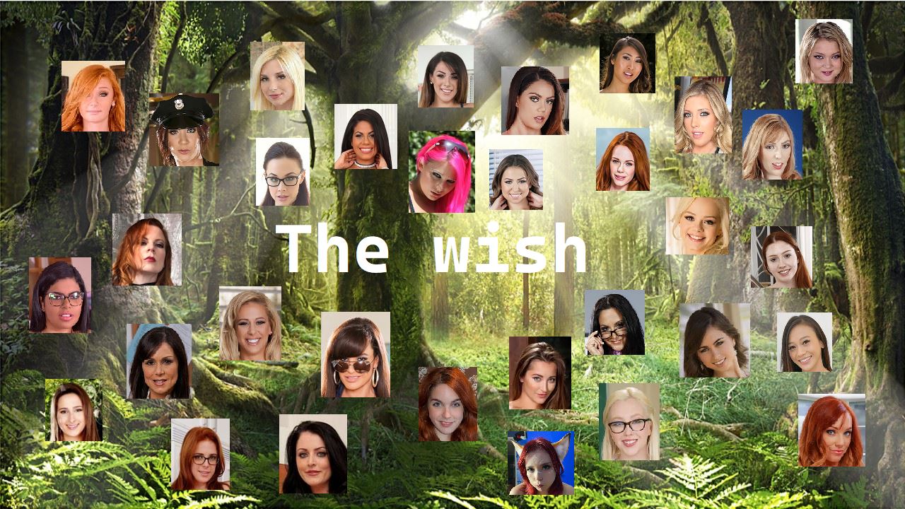 The Wish cover