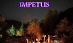 Impetus Adult Game Cover