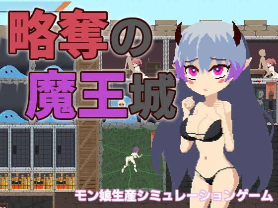 Raid Demon King’s Castle! cover