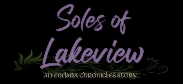 Soles of Lakeview cover