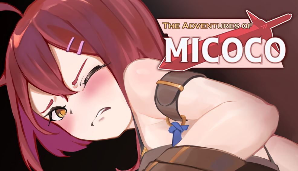 The Adventures of MICOCO cover